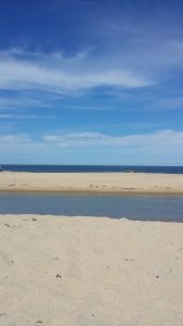 Coast Guard Beach: Bliss